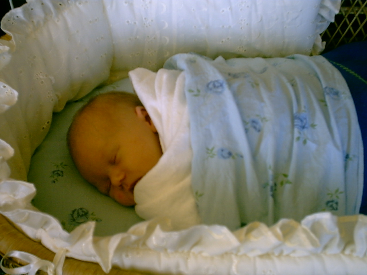Baby/2003-10-16/IMG00001.JPG