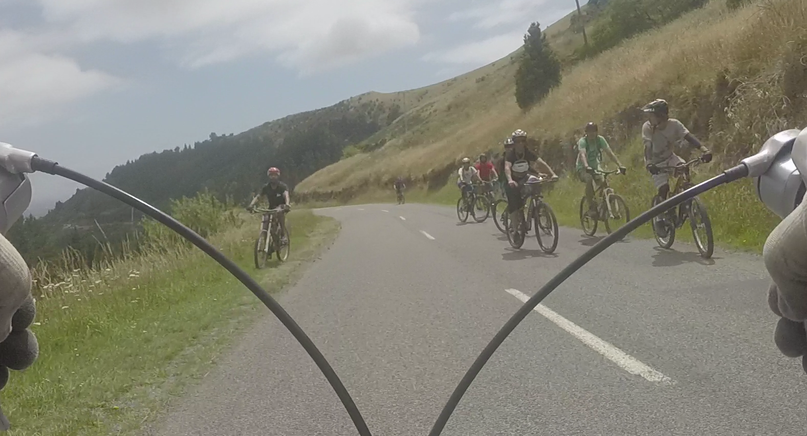 bikes/2016-01-09-summitroad-flock2.png