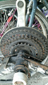 raleigh-delmara-quad-chainring.jpg