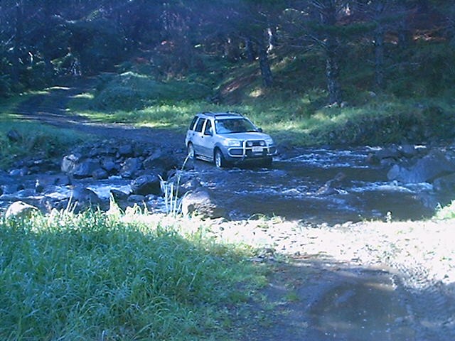 nzlro/Freelander/Freelander.JPG